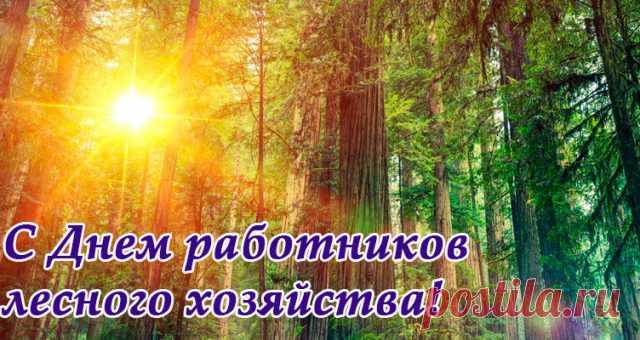 Всем работникам лесхоза —
Благодарность и почет!
Не пугают пусть морозы,
Вьюга мимо обойдет.