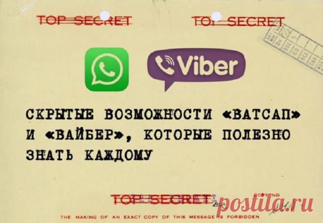 Скрытые возможности «Ватсап» и «Вайбер», которые полезно знать каждому — Жизнь под Лампой!