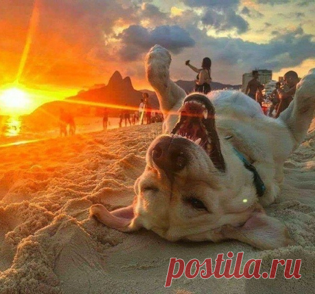 Мир принадлежит тому, кто ему рад

#relaxfm #radiorelaxfm