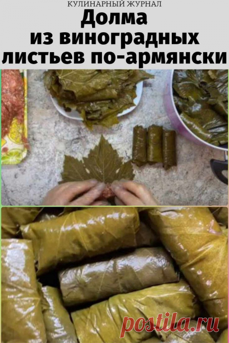 Долма из виноградных листьев по-армянски