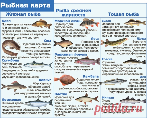 Польза разных сортов рыб
Выбираем с умом