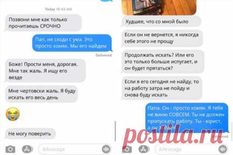 Забавная история о том, как отец потерял любимого хомяка своей дочки (3 фото) . Тут забавно !!!