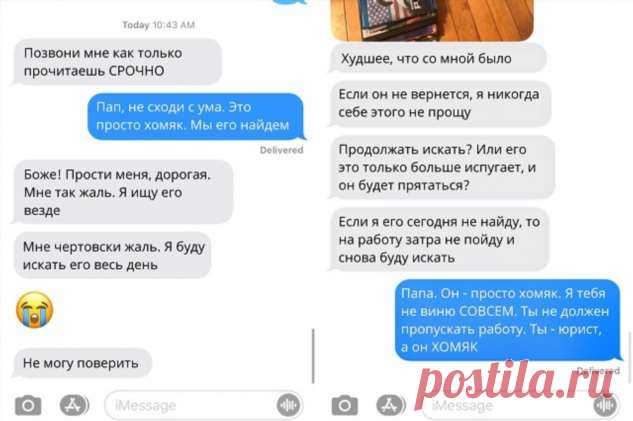 Забавная история о том, как отец потерял любимого хомяка своей дочки (3 фото) . Тут забавно !!!