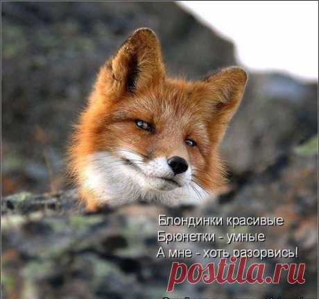 Фотографии на стене Веры | 56 фотографий