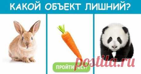 Запад или Восток: ответ всего на один вопрос покажет, какой тип мышления у вас преобладает