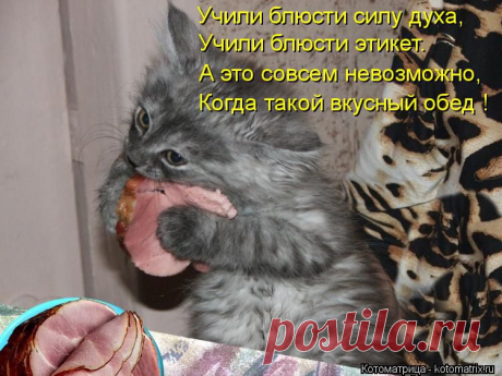 kotomatritsa_-S.jpg (Изображение JPEG, 750 × 562 пикселов)