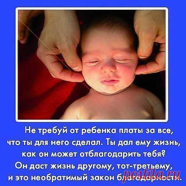 Необратимый закон благодарности