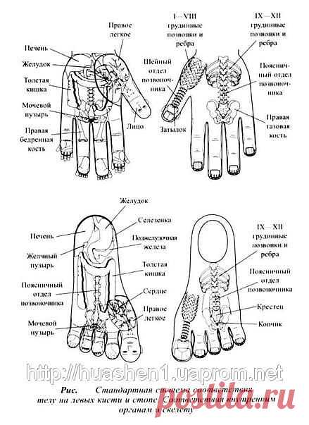 2946906_w640_h640_ssu3.jpg (439×603)
Это экологически чистая природная продукция, не  содержащая токсинов.
Под действием температуры тела биофотонные материалы, входящие в состав жилета, способны испускать биофотонные волны длиной 5-25 микрон, проникающие под кожу на глубину 3-5 сантиметров и вызывающие при этом высокочастотные микро колебания кровеносных сосудов, в результате чего происходит расщепление и выведение осадков со стенок кровеносных сосудов, увеличивается их объём, снижается