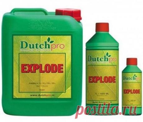 Стимуляторы цветения и плодоношения: обзор препаратов для пышного цветения и высокого урожая