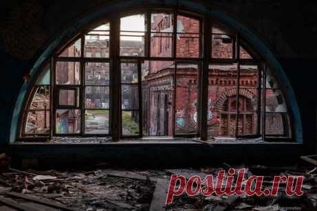 Петербург бывает разный