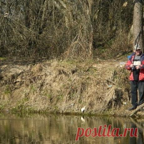 Квок: конструкция и ловля - МирТесен