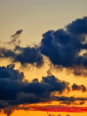 Любовь есть добродетель, зависящая и от человеческого усердия - Святитель Иоанн Златоуст #цитаты #любовь #добродетель #усердие #вера #православие #мыс... — Wibes Любовь есть добродетель, зависящая и от человеческого усердия - Святитель Иоанн Златоуст #цитаты #любовь #добродетель #усердие #вера #православие #мыс...