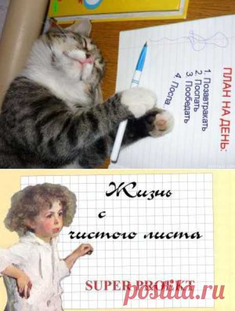 Женский мир, блог о красоте, здоровье, любви и интересах современной женщины