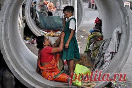 Hanif Anom Wibowo | GlobAllShare™ World Society