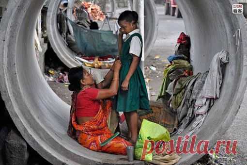 Hanif Anom Wibowo | GlobAllShare™ World Society