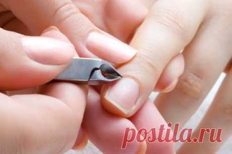 9 серьёзных ошибок в маникюре, которые допускает каждая женщина 


Красивый маникюр – не то же самое, что правильный. Чего следует избегать во время процедуры? 

1. Обрезать кутикулу 

Мастера по маникюру, которые могут называть себя профессионалами, неустанно твердят, что обрезной маникюр делать нельзя. Объясняется это очень просто. Кутикула – это полоска кожи, которая защищает корень ногтя от попадания загрязнений. Обрезая кутикулу, мы лишаем ногти этой защиты. В то же в...