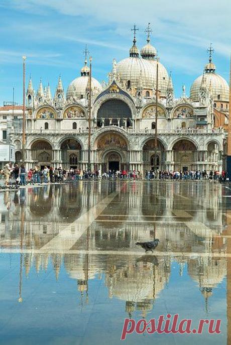 San Marco, Venice | Carolyn McIntyre Balding приколол(а) это к доске Italy