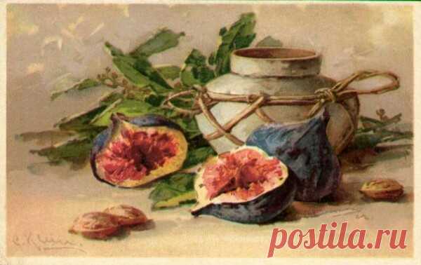 Катарина Кляйн