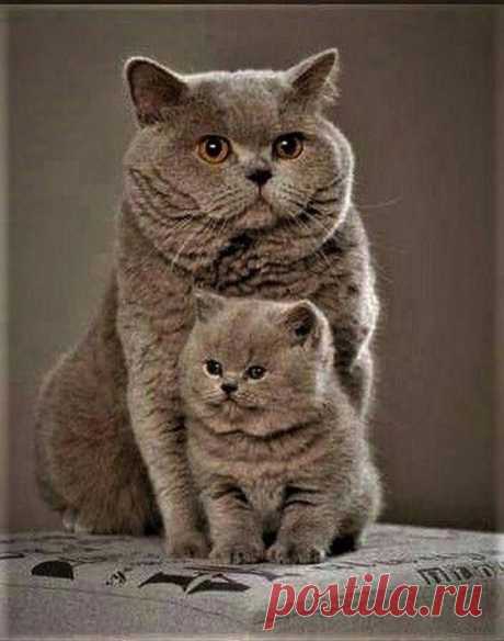 (158) Pinterest