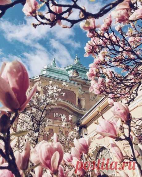 Туризм, отдых и путешествия