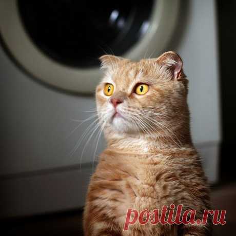 Мода, красота и любовь! Леди Mail.Ru