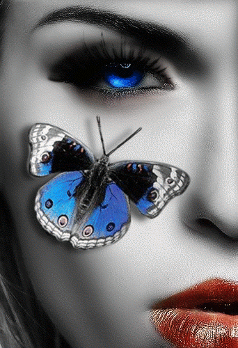 (52) Pinterest