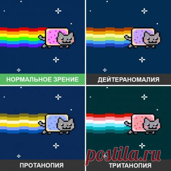 Вот как дальтоники видят мир