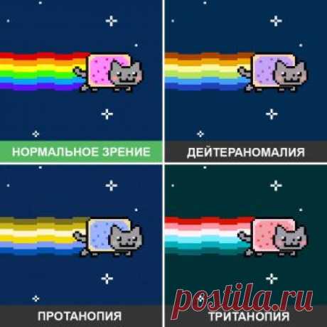 Вот как дальтоники видят мир