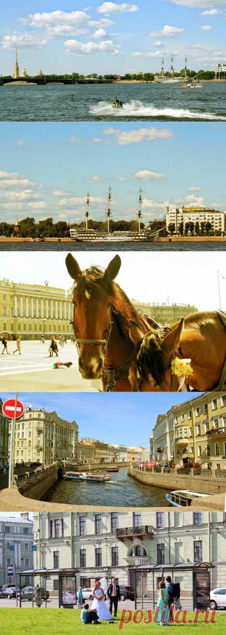 Пыльная кладовка: Кусочки лета: Санкт-Петербург мимоходом ...