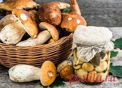 Маринованные белые грибы, рецепт