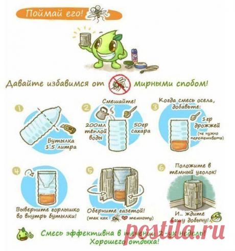 Ловушка для комаров своими руками | Умелые ручки