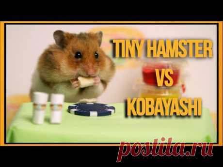Tiny Hamster vs Kobayashi  (Ep. 3) - YouTube