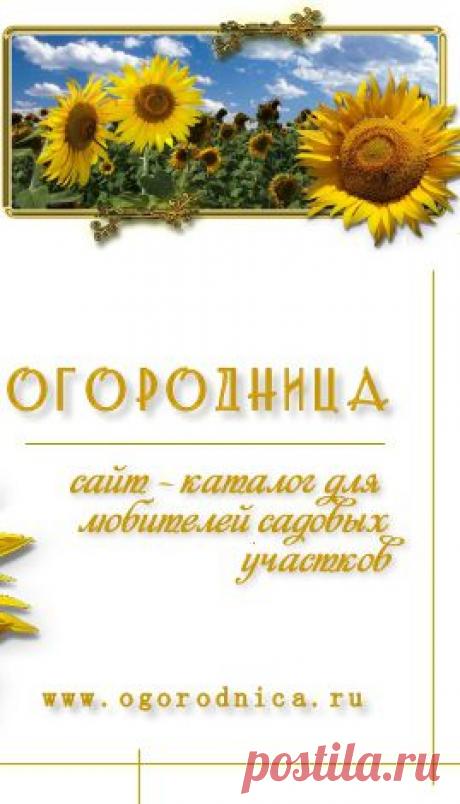 Питание растений и почва