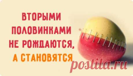 Мудрая притча о двух половинках