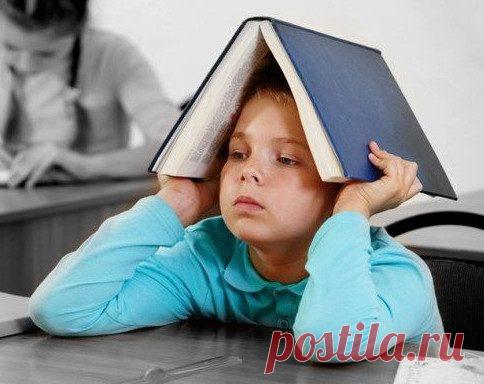 Как быть родителям, если ребенок не хочет учиться? / Малютка
