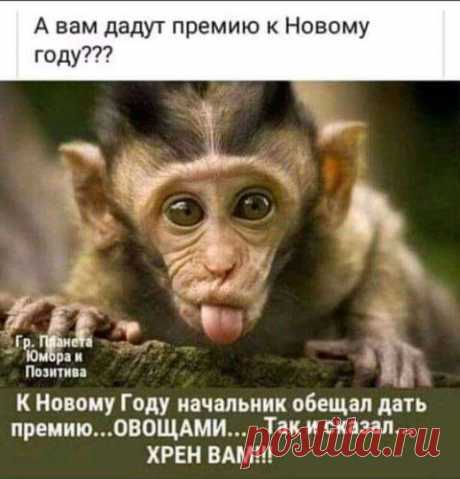 С каждой выпитой рюмки водки наша жизнь становится короче на 10 минут. Я тут на досуге подсчитал, что мёртв с 1942 года