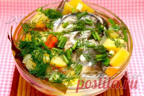 Уха из толстолобика в домашних условиях, самая вкусная