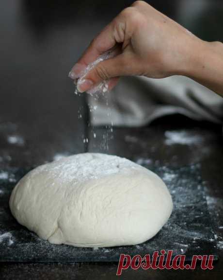 PASTA PIZZA SOFFICISSIMA LIEVITAZIONE LENTA pizza pizzeria