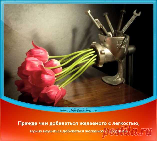 Позитивчики Недели (смотреть фото)