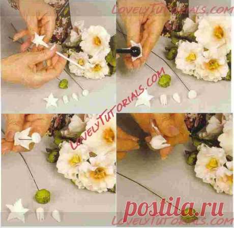 МК лепка &quot;Мальва&quot; -Malva plants tutorial - Мастер-классы по украшению тортов Cake Decorating Tutorials (How To's) Tortas Paso a Paso