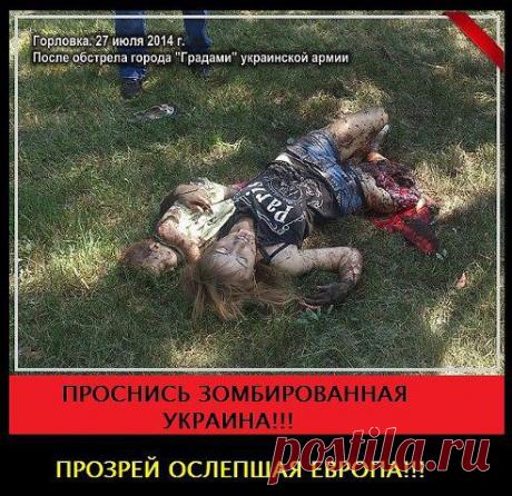 (1) Одноклассники