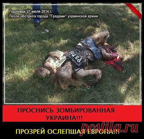 (1) Одноклассники