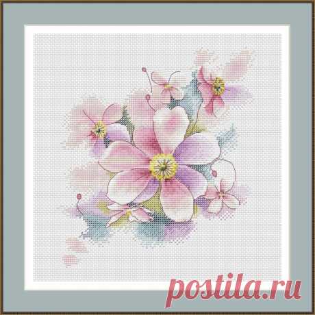 Gallery.ru / Фото #60 - Анемоны - BelleBlue