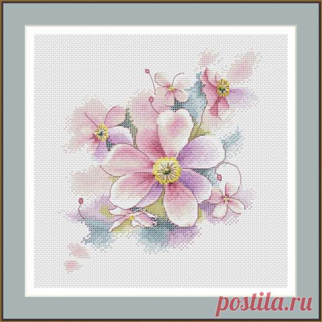 Gallery.ru / Фото #60 - Анемоны - BelleBlue