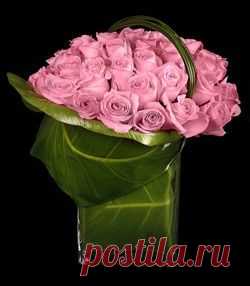 хх
