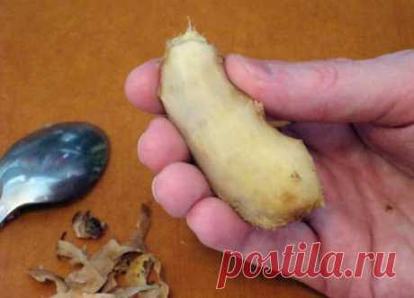 При отравлении поможет имбирь. Обязательно храните кусочек на кухне! - CELEBNIK. RU Корень имбиря помогает бороться не только с отравлением, но и с другими...