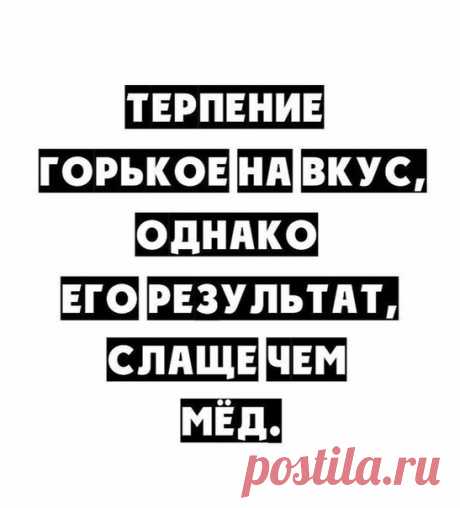 Статусы цитаты