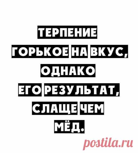 Статусы цитаты