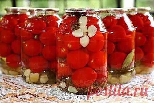 КОПИЛКА ЛУЧШИХ РЕЦЕПТОВ ЗАСОЛОК
