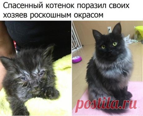 Спасибо отцу